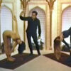 Yoga for Health - COMPLETE SET (DVD 1 through DVD 6) - Image 3